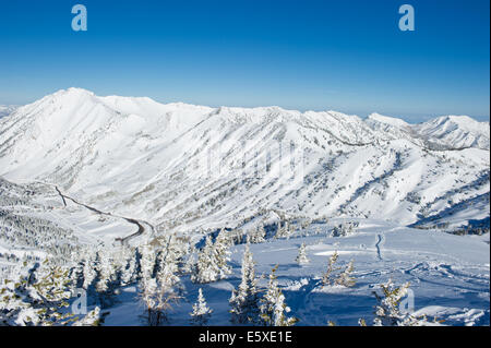 Scenic des montagnes Wasatch, Utah. Banque D'Images