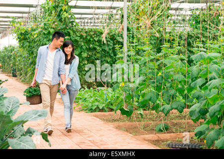 Les jeunes Chinois en train de marcher dans une serre avec des légumes, se tenant la main. Banque D'Images