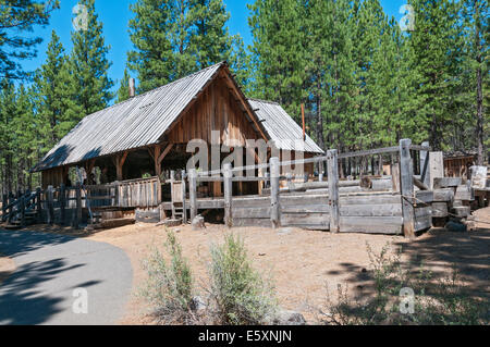 De l'Oregon, Bend, High Desert Museum, scierie de 1904 Miller Ranch Banque D'Images