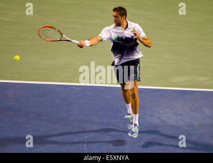 Toronto, Canada. 07Th Août, 2014. Marin Cilic de Croatie renvoie la balle au cours de la troisième série de masculin contre Roger Federer de la Suisse à la Coupe Rogers 2014 à Toronto, Canada, le 7 août 2014. Marin Cilic a perdu le match 1-2. Source : Xinhua/Alamy Live News Banque D'Images