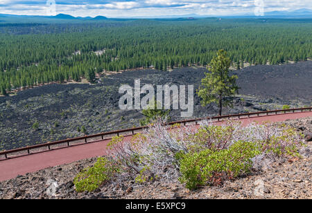 De l'Oregon, Monument Volcanique National Newberry, Lava Butte, summit road, champ de lave vue de cratère trail Banque D'Images