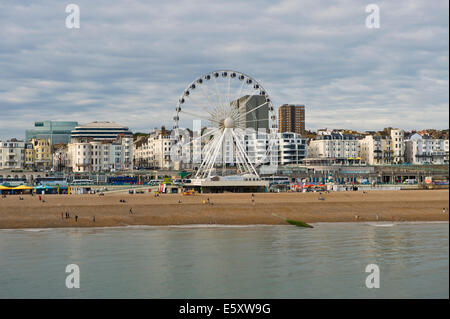 Vue sur la plage et roue à Brighton East Sussex England UK Banque D'Images