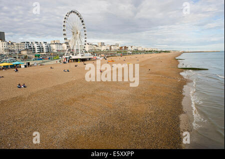 Vue sur la plage et roue à Brighton East Sussex England UK Banque D'Images