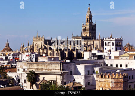 La Cathédrale de Séville, Séville, Andalousie, Espagne Banque D'Images