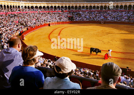 Au cours de corrida Feria de Abril Foire d'Avril de Séville, la Plaza de toros de la Real Maestranza de Caballería de arènes de Séville, Séville, Espagne Banque D'Images