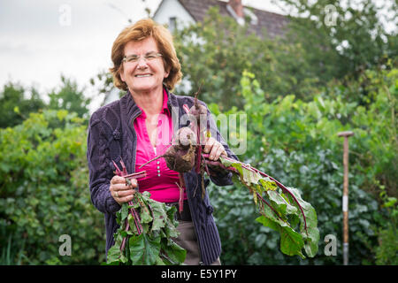 Happy senior woman harvesting légumes auto Banque D'Images