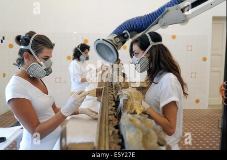 (Sassuolo Emilia-Romagna, Italie) la restauration du patrimoine culturel endommagé par le tremblement de terre de 2012 Banque D'Images