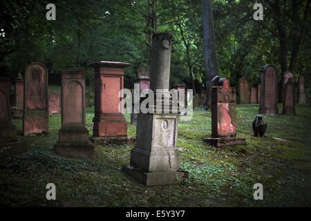 Pierres tombales anciennes se tenir sur le terrain du Cimetière Juif, également connu sous le nom de l'Judensand, à Mainz, Allemagne, 25 juillet 2014. Le Judensand cimetière est un des plus anciens cimetières juifs de l'Europe, composé d'environ 196 tombes. Conformément à l'Alemannia Judaica, un groupe d'étude relatifs à la recherche d'histoire juive en Allemagne du sud et dans les régions voisines, six de ces pierres proviennent de la 11e siècle. Photo : Fredrik von Erichsen/dpa Banque D'Images