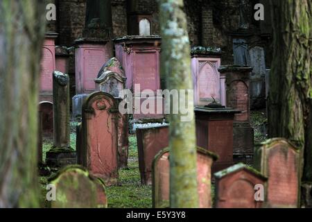 Pierres tombales anciennes se tenir sur le terrain du Cimetière Juif, également connu sous le nom de l'Judensand, à Mainz, Allemagne, 25 juillet 2014. Le Judensand cimetière est un des plus anciens cimetières juifs de l'Europe, composé d'environ 196 tombes. Conformément à l'Alemannia Judaica, un groupe d'étude relatifs à la recherche d'histoire juive en Allemagne du sud et dans les régions voisines, six de ces pierres proviennent de la 11e siècle. Photo : Fredrik von Erichsen/dpa Banque D'Images