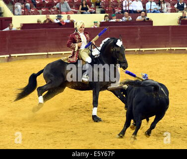 Lisbonne, Portugal. 7e août, 2014. Un matador effectue au cours d'une corrida portugaise à Lisbonne de l'arène de Campo Pequeno, Portugal, le 7 août 2014. La corrida portugaise est différente et beaucoup moins que la version espagnole sanglants où le taureau est poignardé à mort si le matador parvient à gagner le concours. Credit : Zhang Liyun/Xinhua/Alamy Live News Banque D'Images