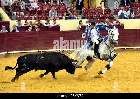 Lisbonne, Portugal. 7e août, 2014. Un matador effectue au cours d'une corrida portugaise à Lisbonne de l'arène de Campo Pequeno, Portugal, le 7 août 2014. La corrida portugaise est différente et beaucoup moins que la version espagnole sanglants où le taureau est poignardé à mort si le matador parvient à gagner le concours. Credit : Zhang Liyun/Xinhua/Alamy Live News Banque D'Images