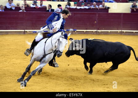 Lisbonne, Portugal. 7e août, 2014. Un matador effectue au cours d'une corrida portugaise à Lisbonne de l'arène de Campo Pequeno, Portugal, le 7 août 2014. La corrida portugaise est différente et beaucoup moins que la version espagnole sanglants où le taureau est poignardé à mort si le matador parvient à gagner le concours. Credit : Zhang Liyun/Xinhua/Alamy Live News Banque D'Images