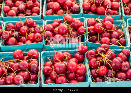 Cerises rouges fraîchement cueillis dans des boîtes sur le marché Banque D'Images