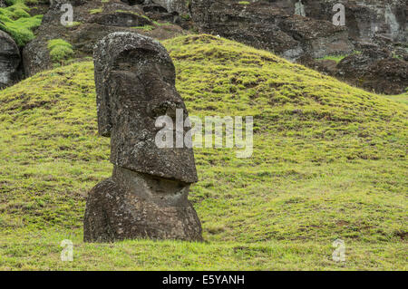 Easter Island statues moai divers Banque D'Images