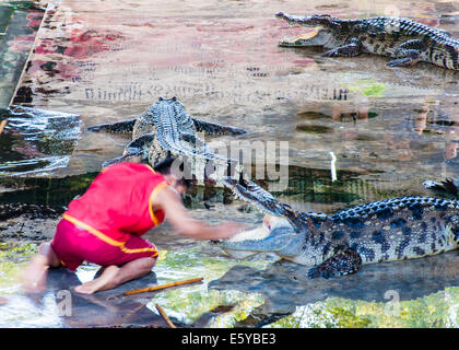 Spectacle au crocodile à Samphran Crocodile Farm le 24 mai 2014 à Nakhon Pathom, Thaïlande. Banque D'Images