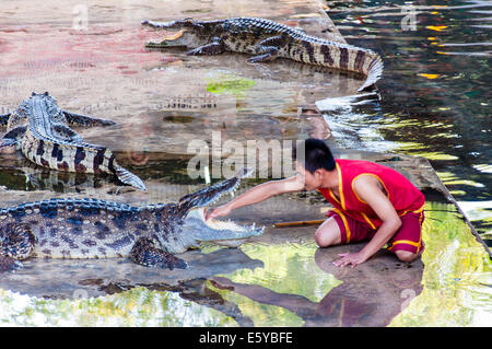 Spectacle au crocodile à Samphran Crocodile Farm le 24 mai 2014 à Nakhon Pathom, Thaïlande. Banque D'Images