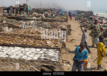 Poisson fumé et frais : marché aux poissons, Langue de Barbarie, St Louis, Sénégal Banque D'Images