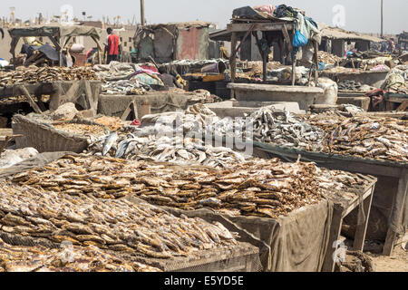 Poisson fumé et frais : marché aux poissons, Langue de Barbarie, St Louis, Sénégal Banque D'Images