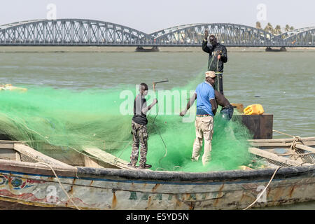 Pirogue (bateau de pêche) et pont Faidherbe traversant le fleuve Sénégal, Saint-Louis, Sénégal Banque D'Images