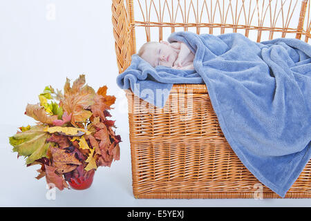 Bébé de glisser sur banc Vinewoven Banque D'Images