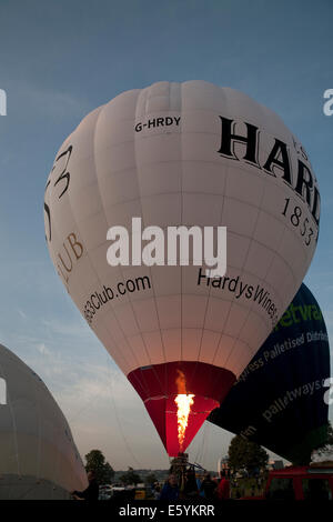 Bristol, Royaume-Uni. 8 Août, 2014. Le gonflage du ballon de Hardy au Bristol International Balloon Fiesta Crédit : Keith Larby/Alamy Live News Banque D'Images