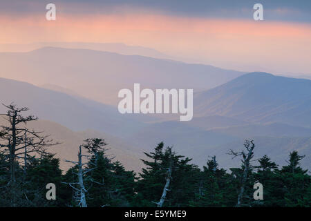 Vue depuis la tour d'observation Clingmans Dome Banque D'Images