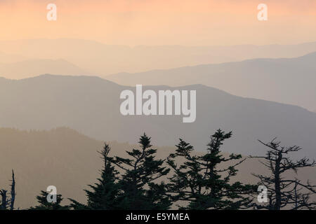 Vue depuis le Clingmans Dome Tour d'observation, Great Smoky Mountains National Park Banque D'Images