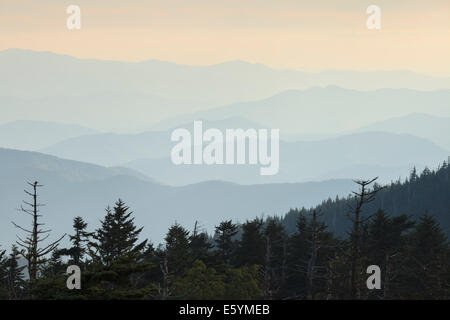 Vue du Clingmans Dome, Great Smoky Mountains National Park Banque D'Images