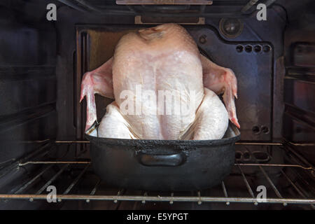 Le poulet cru dans une rôtissoire au four Banque D'Images