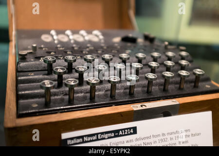 Close-up de la machine de chiffrement Enigma de la marine italienne A1214 Banque D'Images