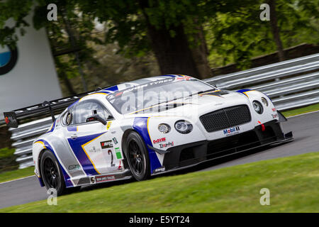 Steve Tandy / James Appleby dans la génération - Course Bentley Bentley Continental GT3 à Oulton Park en British GT Banque D'Images