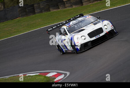 Steve Tandy / James Appleby dans la génération - Course Bentley Bentley Continental GT3 à Oulton Park en British GT Banque D'Images