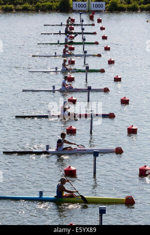 Moscou, Russie. 9 Août, 2014. Quatrième jour de la Championnats du monde de sprint en canoë sur le canal d'aviron dans la région de Krylatskoye, Moscou Banque D'Images