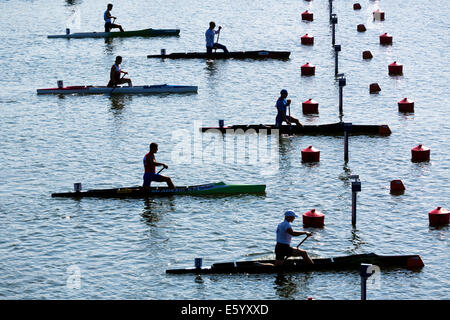 Moscou, Russie. 9 Août, 2014. Quatrième jour de la Championnats du monde de sprint en canoë sur le canal d'aviron dans la région de Krylatskoye, Moscou Banque D'Images