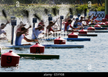 Moscou, Russie. 9 Août, 2014. Quatrième jour de la Championnats du monde de sprint en canoë sur le canal d'aviron dans la région de Krylatskoye, Moscou Banque D'Images