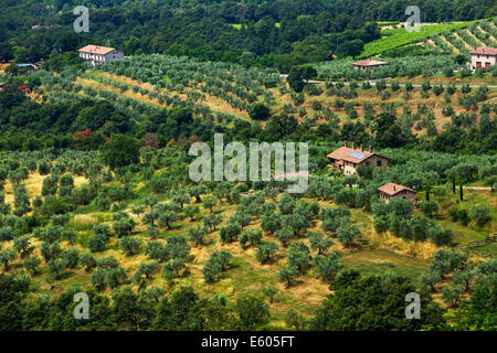 Paysage typiquement italien dans Monteleone d'Orvieto - Ombrie. Banque D'Images