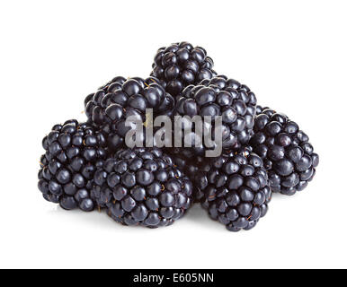 Blackberry isolé sur fond blanc Banque D'Images