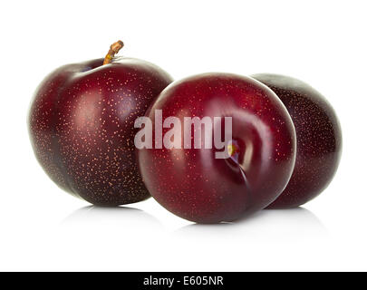 Les prunes isolé sur fond blanc Banque D'Images