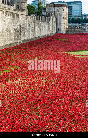 Pour marquer le centenaire de la Première Guerre mondiale, des milliers de coquelicots en céramique ont été placés dans les douves de la Tour de Londres Banque D'Images