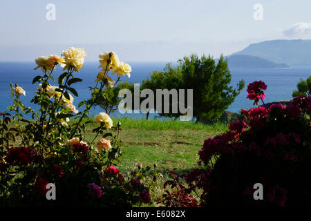 Zante, Grèce - voir ci-dessus une taverne de Kalamaki sur les pentes du mont Skopos. Roses dans la taverne jardin. Banque D'Images