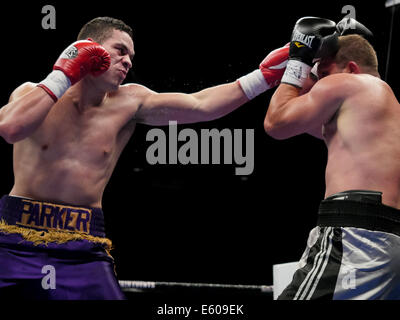 Bethlehem, Pennsylvanie, USA. 9 Août, 2014. JOSEPH PARKER (violet et or) et Keith Thompson bataille dans un combat de poids lourds au Sands Event Center au Sands Casino à Bethlehem, Pennsylvanie. © Joel Plummer/ZUMA/Alamy Fil Live News Banque D'Images