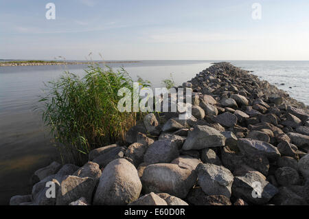 Le Suur-Emajõgi début de la Rivière du lac Võrtsjärv, l'Estonie, de l'UNION EUROPÉENNE Banque D'Images