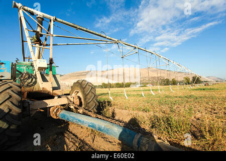 L'Irrigation Mobile Robot dans un champ. Photographié dans la vallée de Jezreel, Israël Banque D'Images