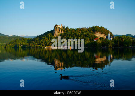 La Slovénie, Bled, le lac Bled et les Alpes Juliennes, le château de Bled Banque D'Images