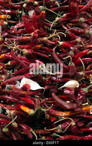 L'ail et piment rouge isolé sur fond blanc Banque D'Images