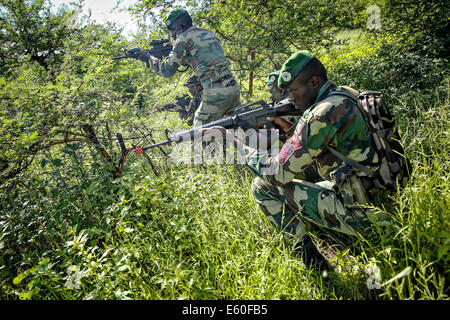 Entreprise sénégalaise de Fusilier Commandos marines en vue de l'ennemi au cours de patrouilles dans des exercices avec les Marines américains le 16 septembre 2013 Mai 22, 2014, à Thiès, Sénégal. Banque D'Images