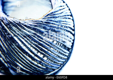 Bobine de câble isolé sur fond blanc Banque D'Images