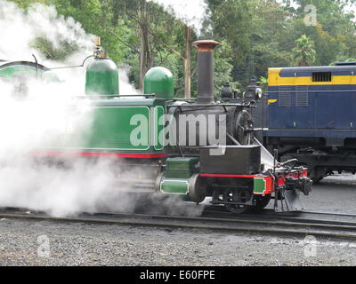 Puffing Billy Steam Train à Belgrave, Victoria, Australie Banque D'Images