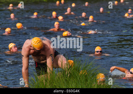 Les gens participant à un swimrun Ångaloppet, compétition où vous exécutez sur terre et se baigner dans les lacs et la mer à plusieurs reprises. Banque D'Images