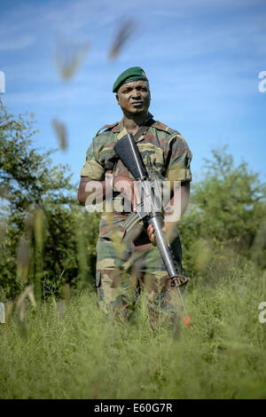 Une entreprise sénégalaise de Fusilier Commandos Marine effectue une patrouille lors d'une embuscade de l'exercice avec des marines américains le 16 septembre 2013 à Thiès, Sénégal. Banque D'Images